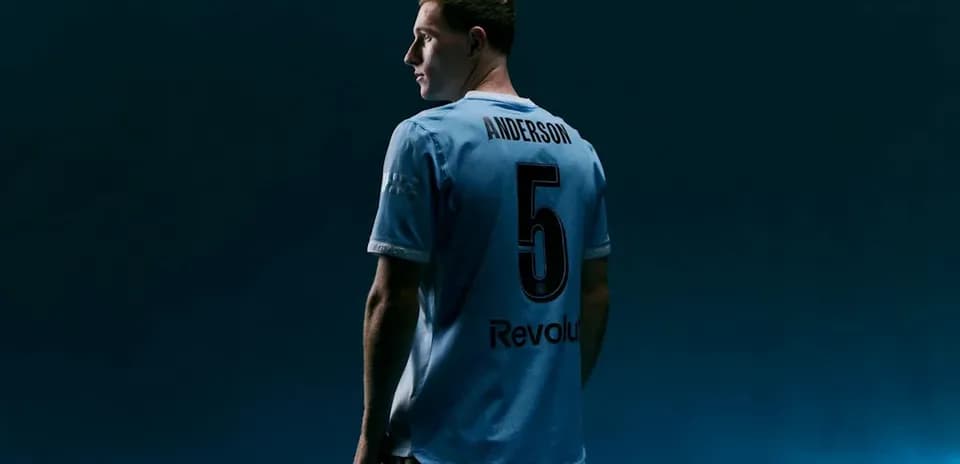 Player wearing jersey with number 5 and name Anderson