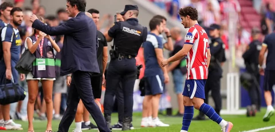 Player leaving the pitch with coach gesturing