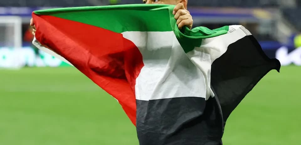Person holding a Palestinian flag on the field