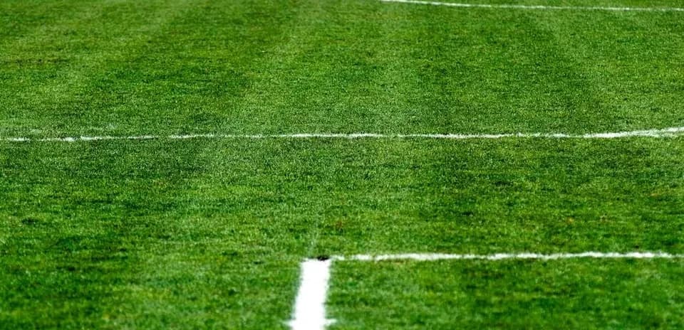 Close-up of a soccer field with white markings