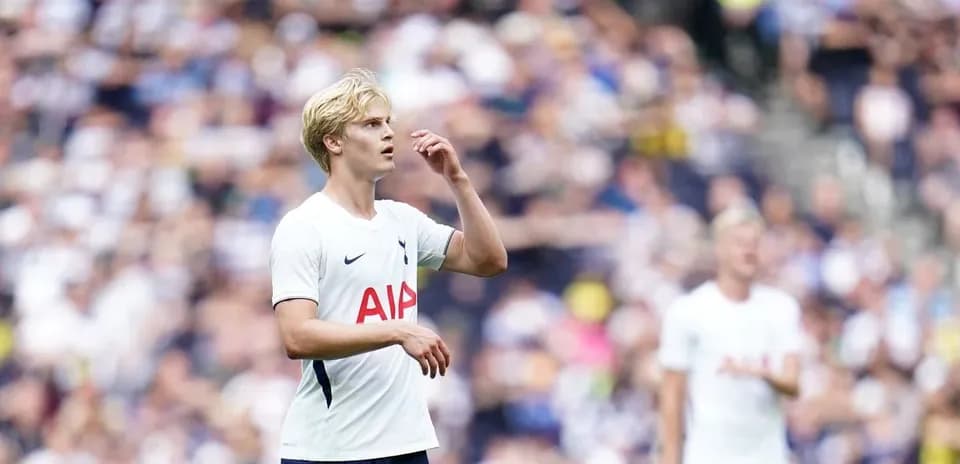 Tottenham player looking on during match