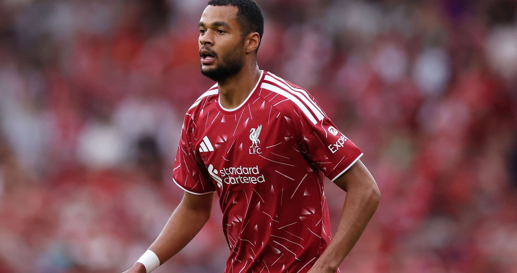Iraola Hints at Possible Gakpo Departure as Liverpool Near Deal for Barcola