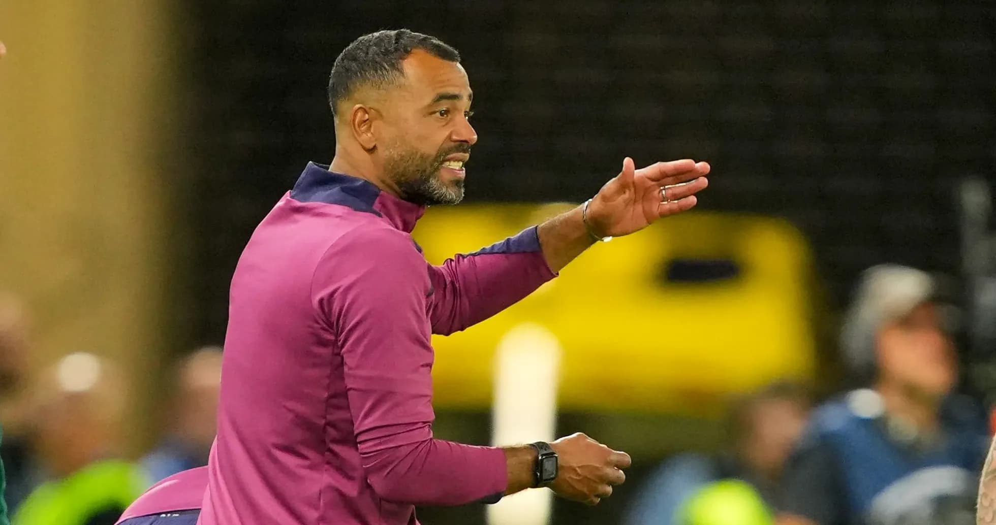Coach gesturing during a football match Coach gesturing during a football match