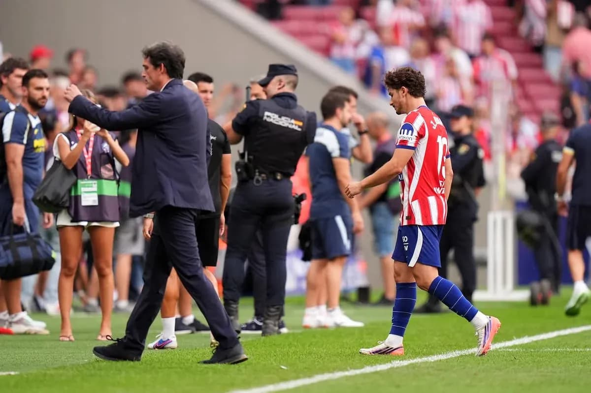 Player leaving the pitch with coach gesturing Player leaving the pitch with coach gesturing