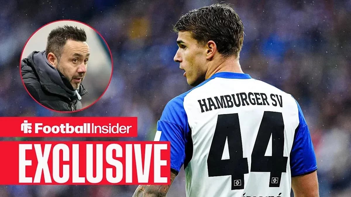 Player in Hamburger SV jersey during match action Player in Hamburger SV jersey during match action