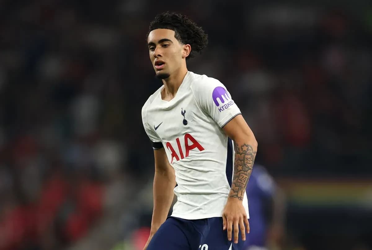 Player in Tottenham kit during a match Player in Tottenham kit during a match