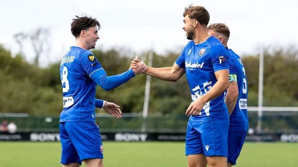 Two players celebrating with a handshake on pitch Two players celebrating with a handshake on pitch