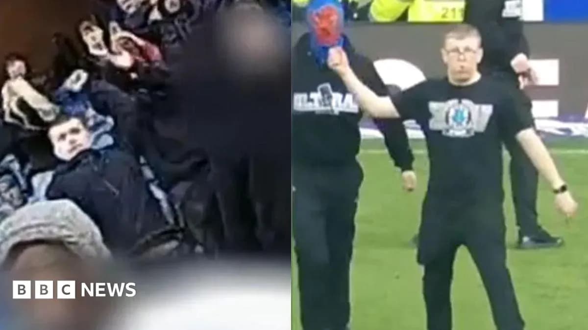Fans reacting in the stands during a match Fans reacting in the stands during a match
