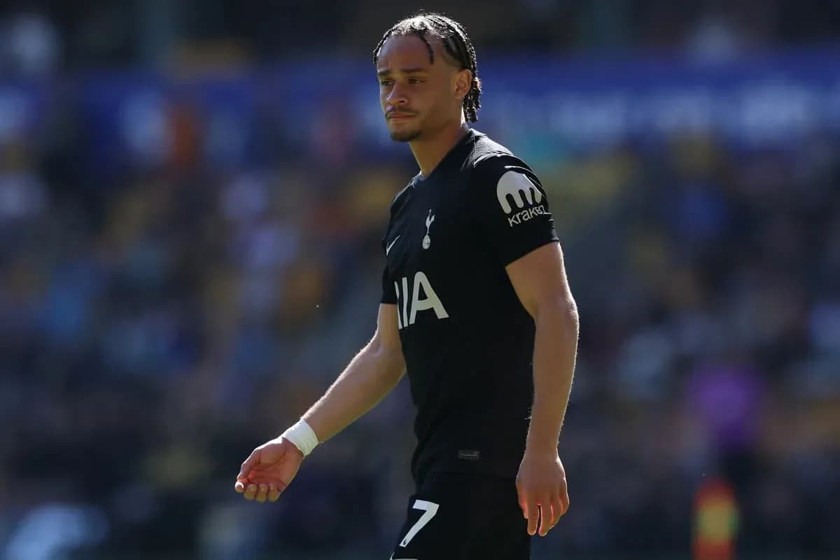 Player walking on the pitch in Tottenham kit Player walking on the pitch in Tottenham kit
