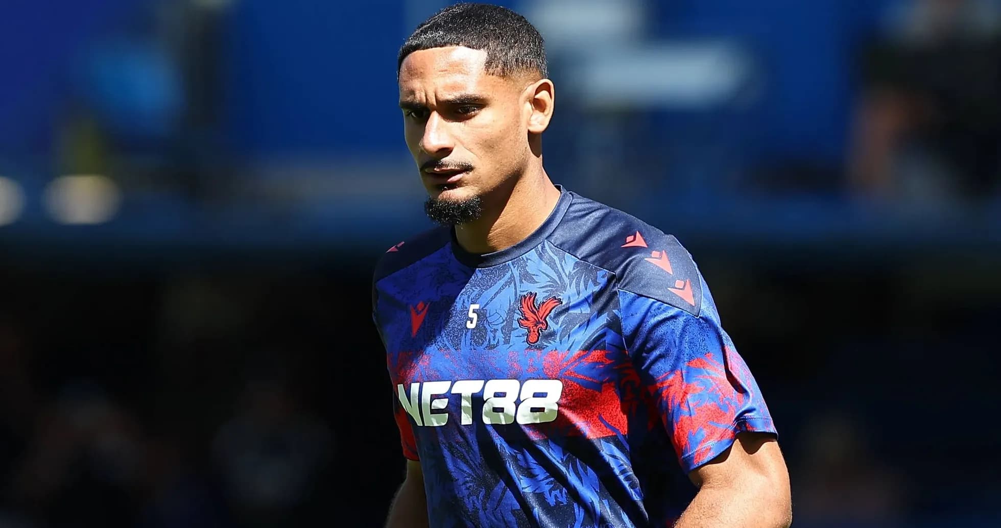 Player in Crystal Palace training kit on pitch Player in Crystal Palace training kit on pitch